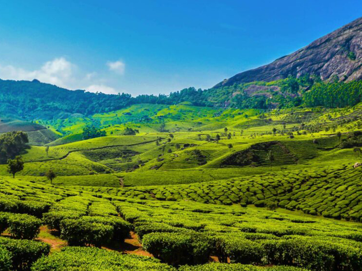 MUNNAR  - ALAPPEY  -  HOUSE BOAT PACKAGE-2023